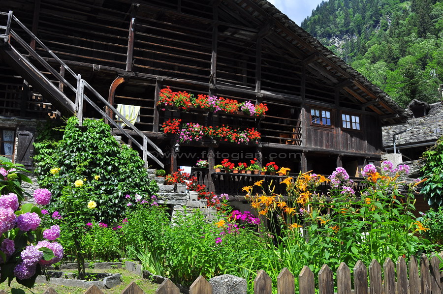 alagna
