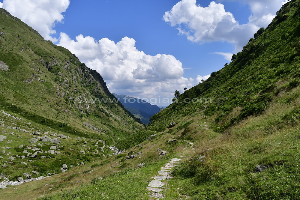 verso baranca