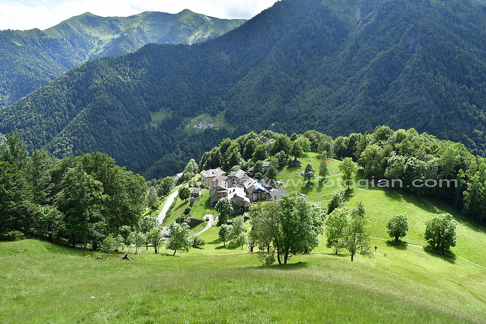 belvedere fobello