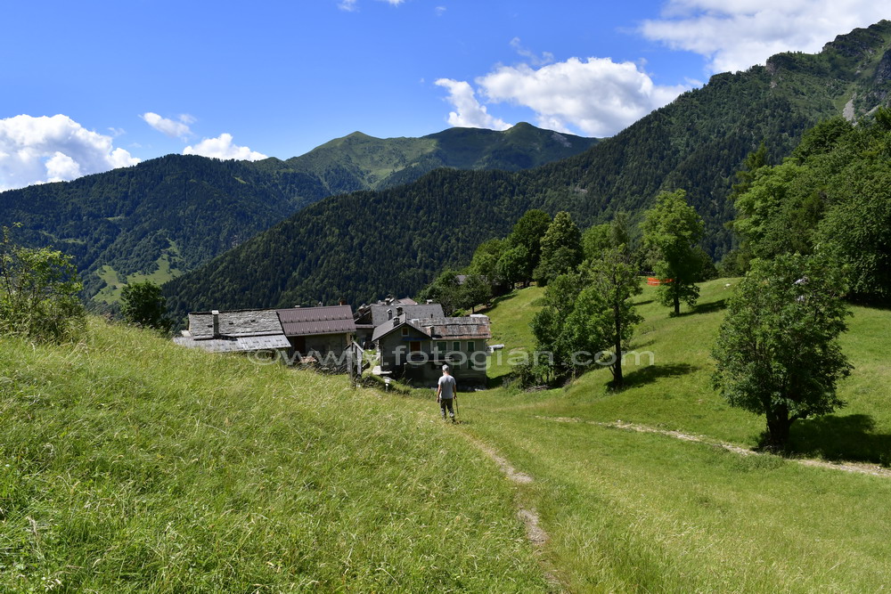belvedere fobello