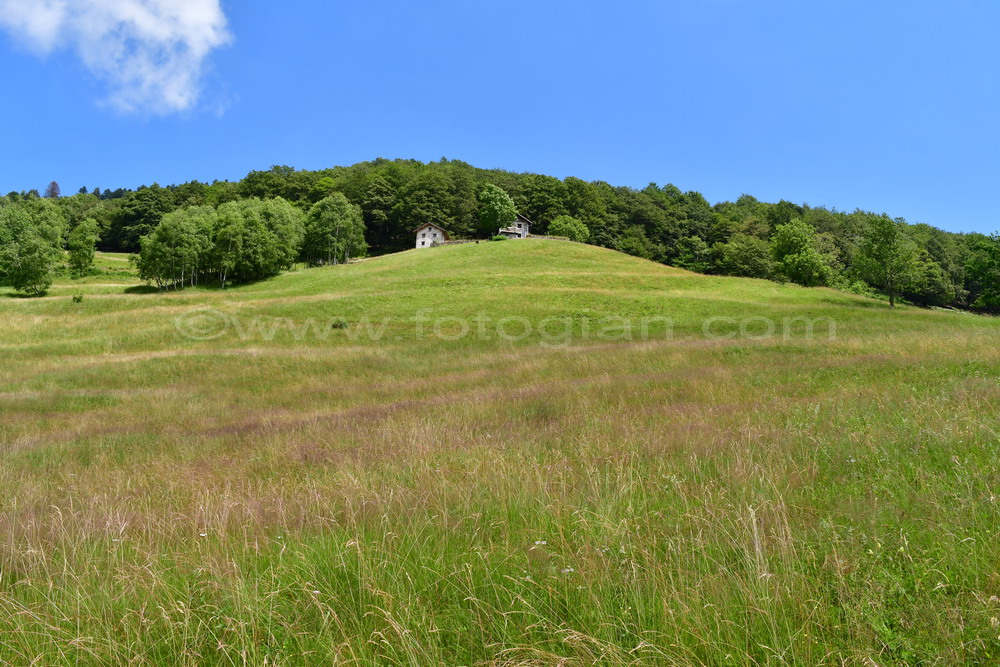 belvedere fobello