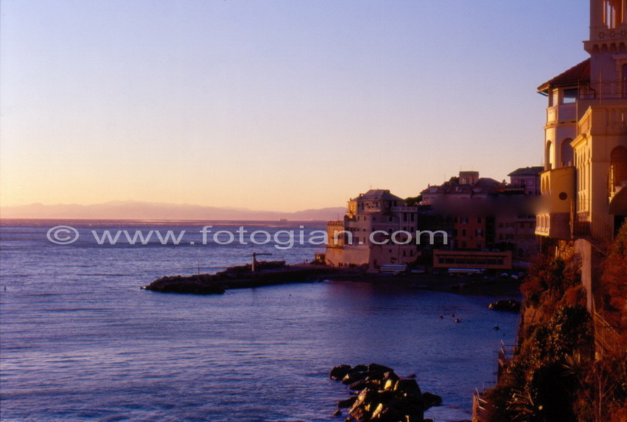 bogliasco
