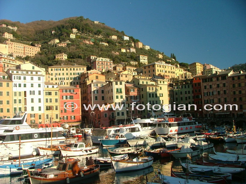 camogli