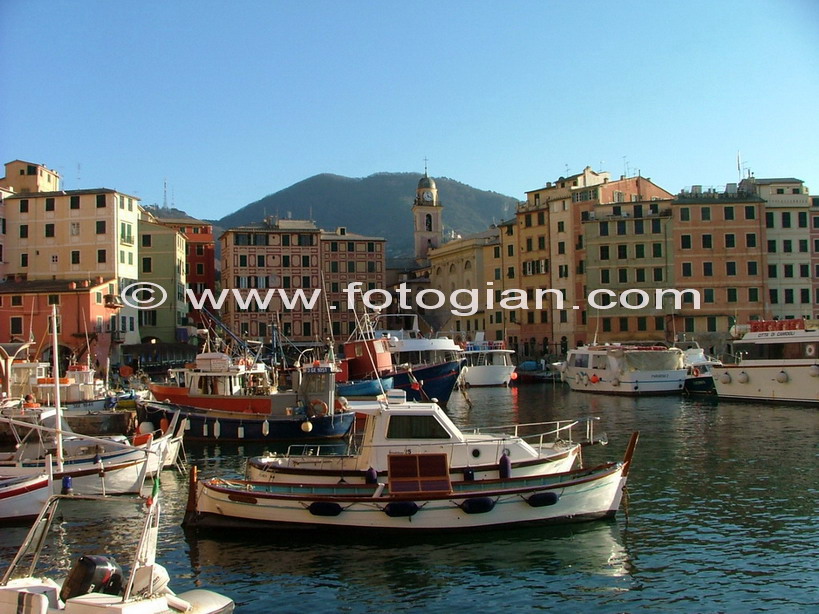 camogli porto