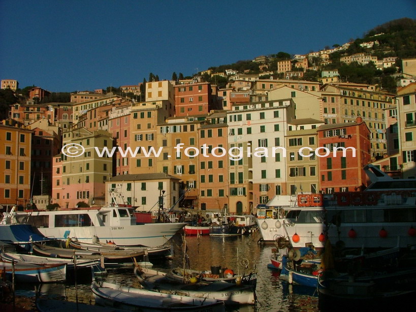 camogli