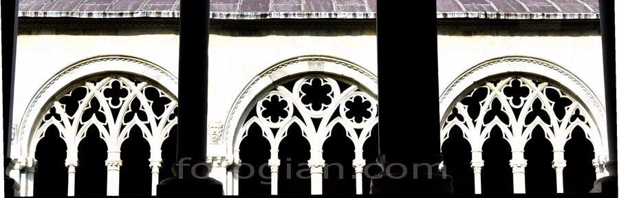 camposanto pisa