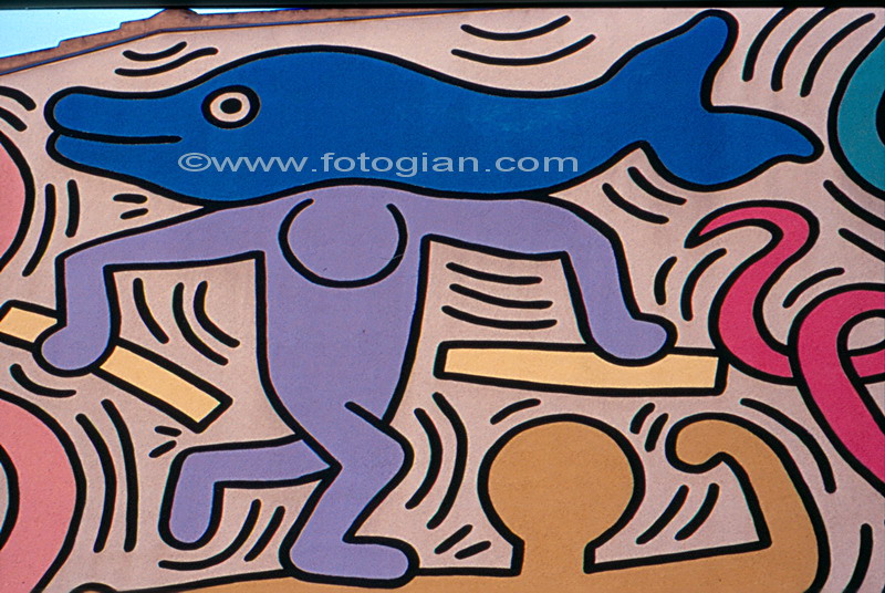 haring