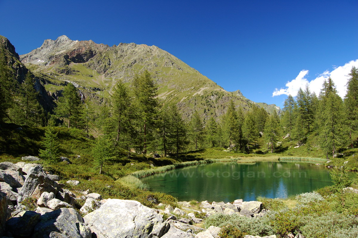 larecchio
