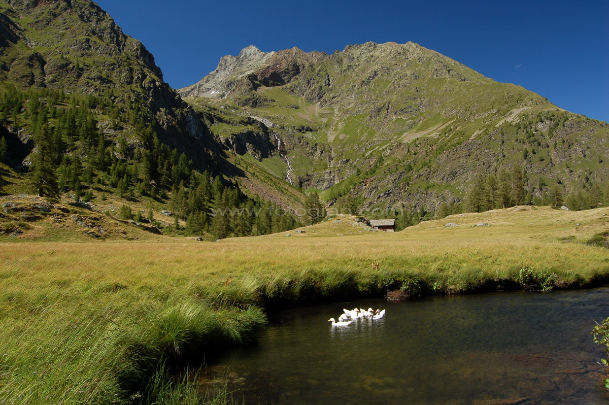 alpe larecchio