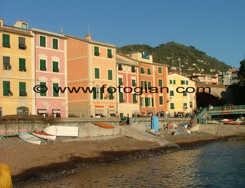 nervi