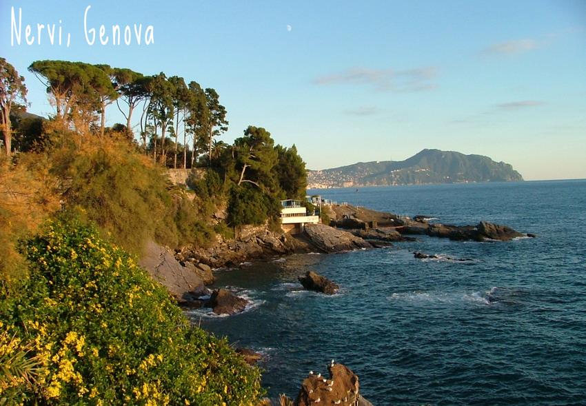 nervi