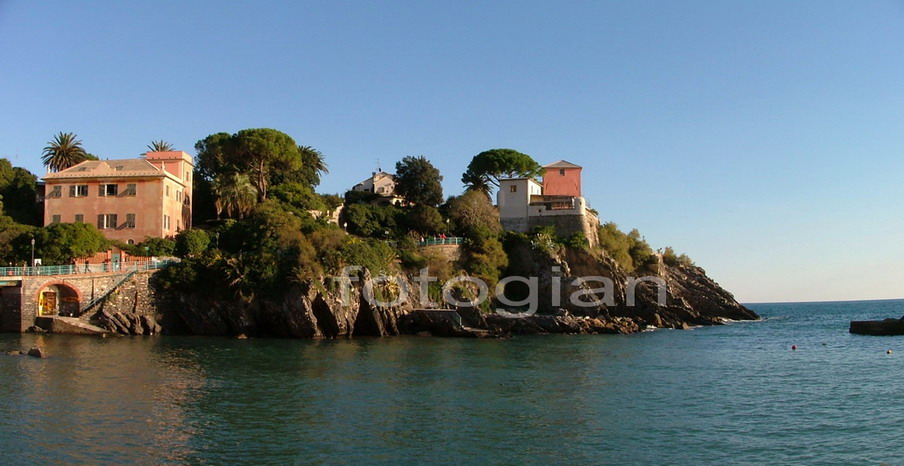 nervi