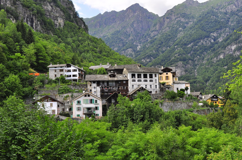 rusa campertogno