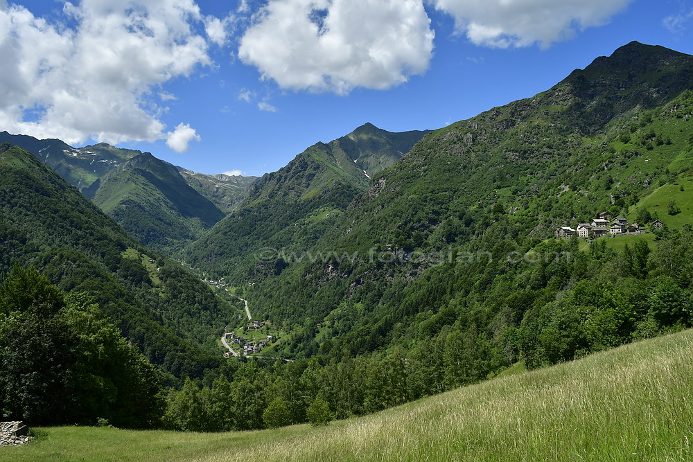 fobello belvedere