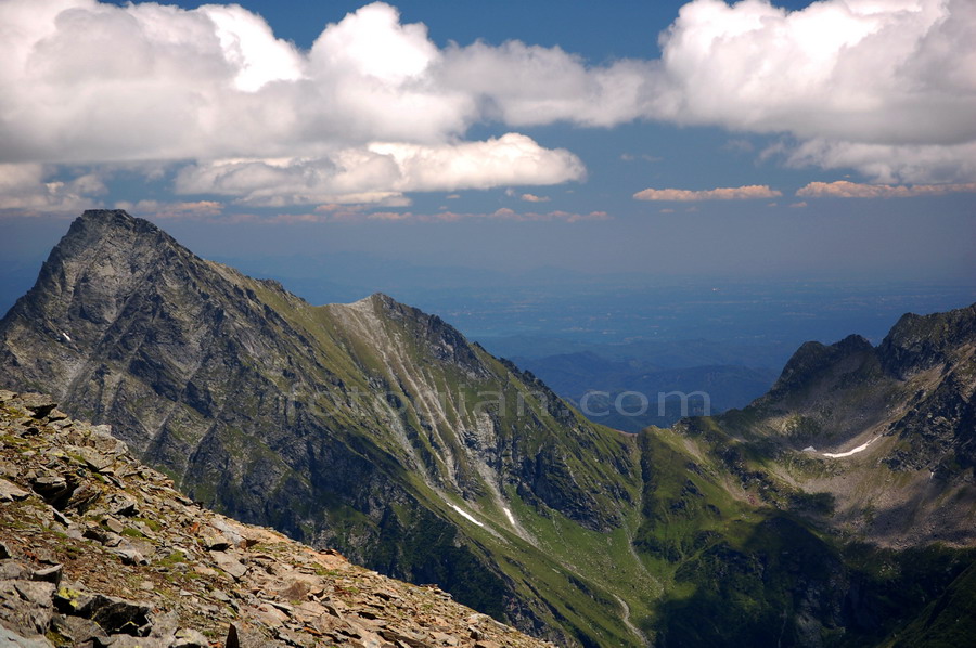 tagliaferro