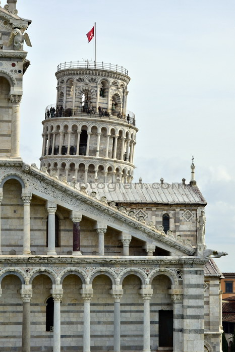 pisa