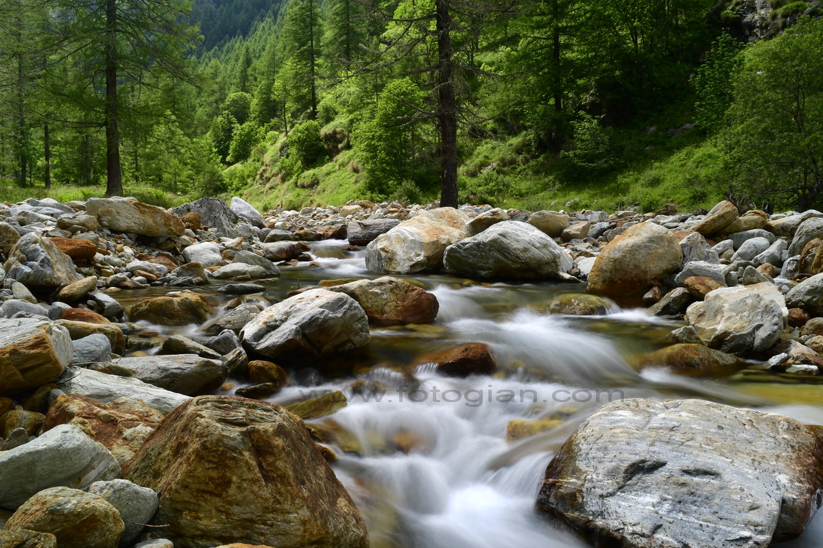 torrente vogna