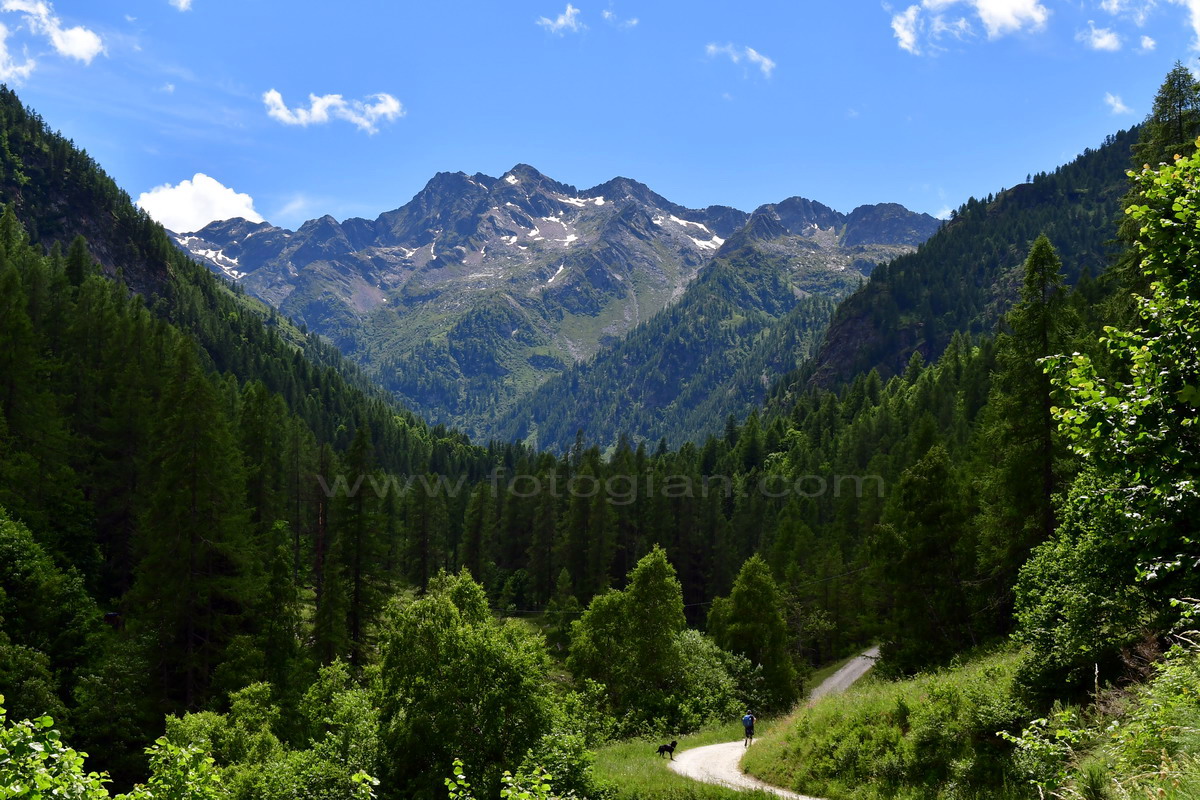 val vogna