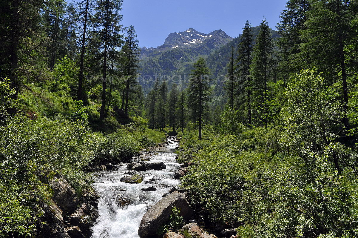 val vogna