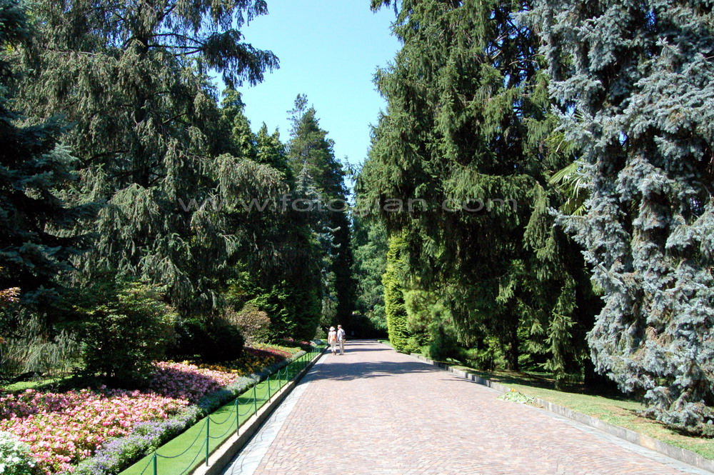 dalie, villa taranto