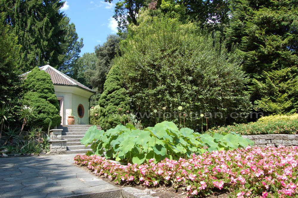 dalie, villa taranto