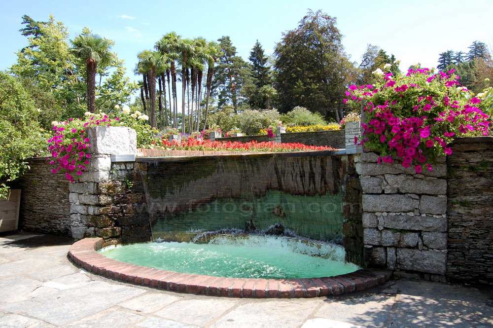 dalie, villa taranto