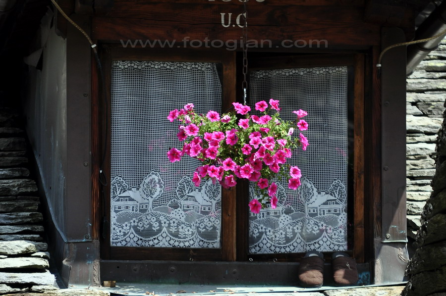 walser window